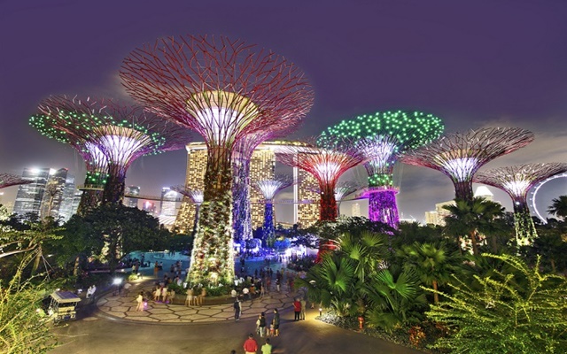 Kinh nghiệm khám phá Garden By The Bay trong tour du lịch Singapore