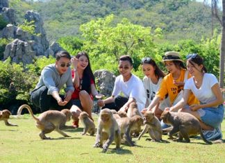 Du lịch Nha Trang đến với đảo Khỉ với những trải nghiệm mới lạ Du lịch Nha Trang đến với đảo Khỉ với những trải nghiệm mới lạ
